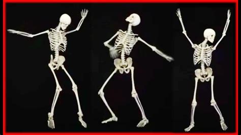 Dancing Bones Sportingbet